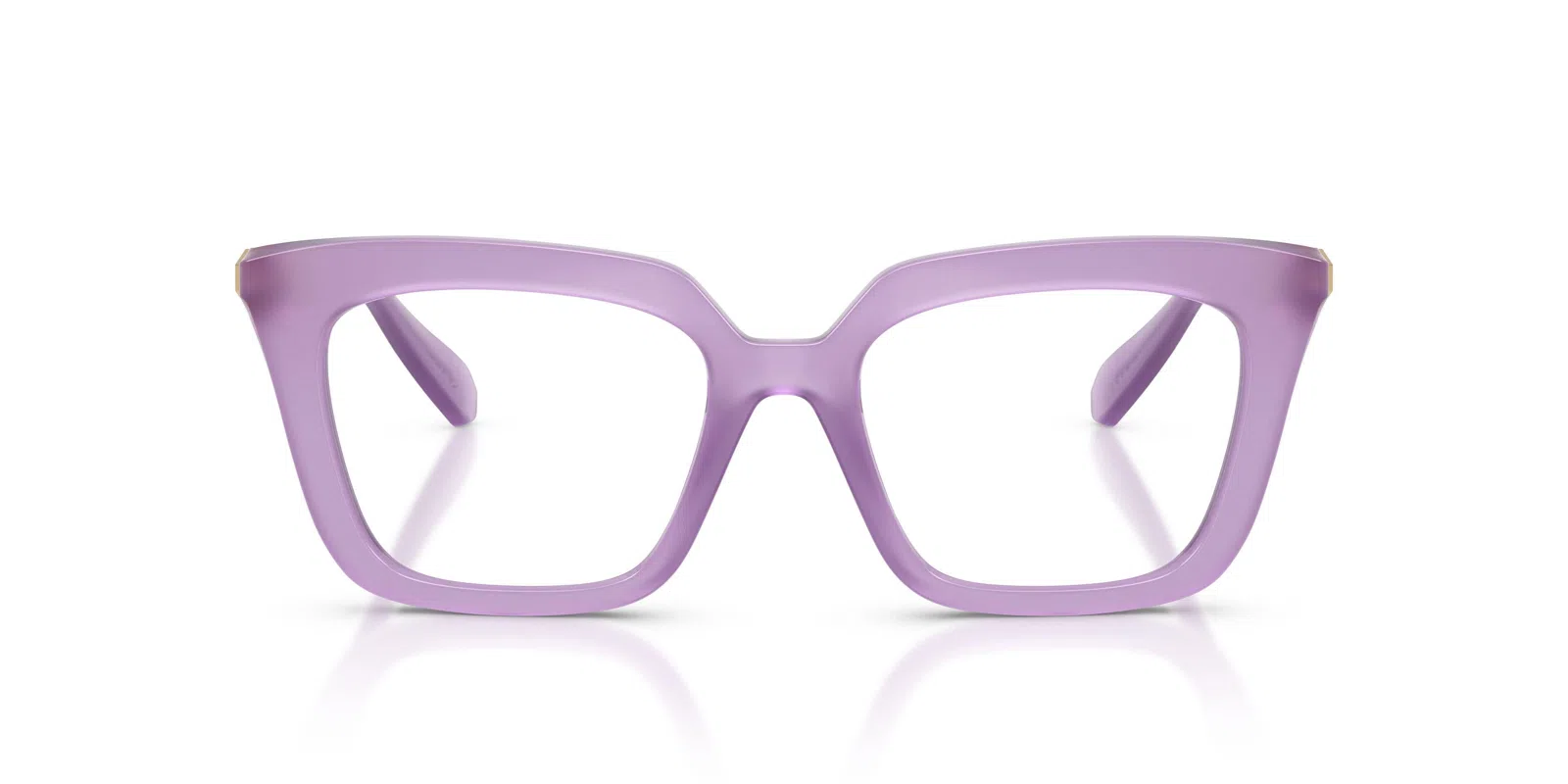Swarovski 2043F Eyeglasses - view 12
